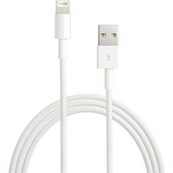 Apple Lightning to USB Cable 1m